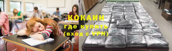 сатива Арсеньев
