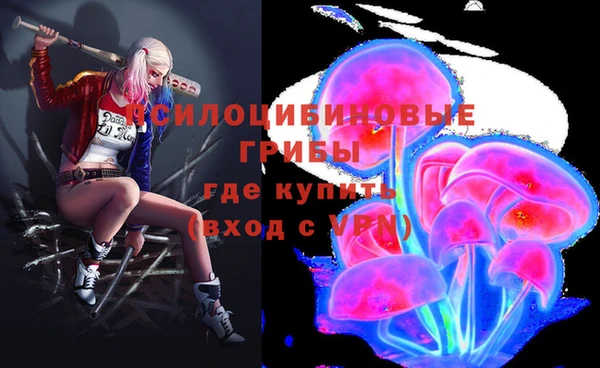 сатива Арсеньев