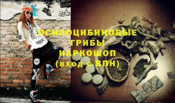 соль ск Аркадак