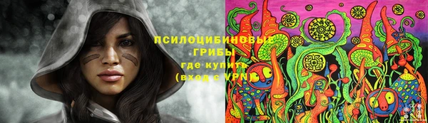 соль ск Аркадак