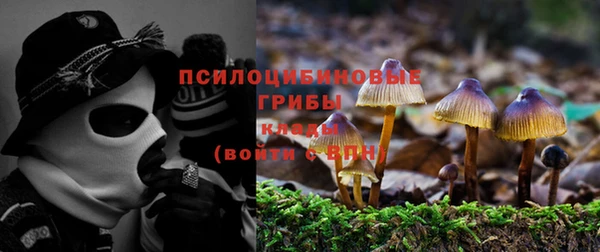 соль курить ск Армянск