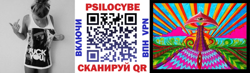 Купить  Новоаннинский  Галлюциногенные грибы GOLDEN TEACHER 
